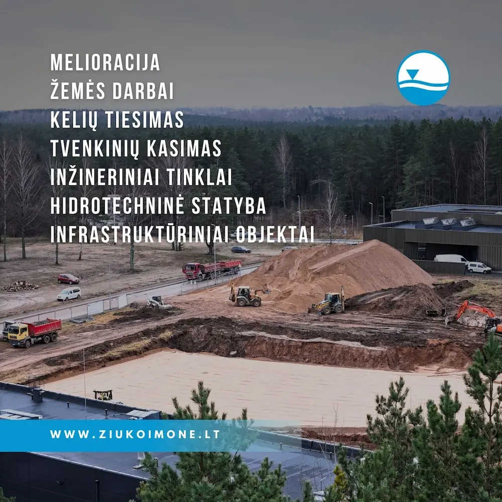 Ziuko Imone Analize 7